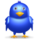  Twitter птицы 